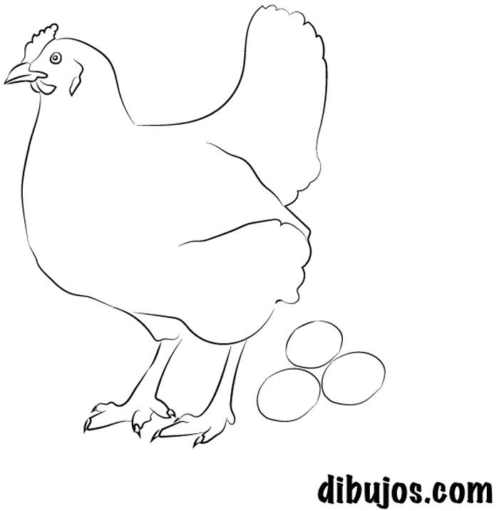 dibujos.com - Gallina