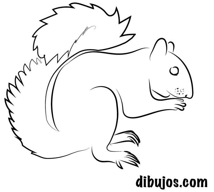 dibujos.com - Ardilla