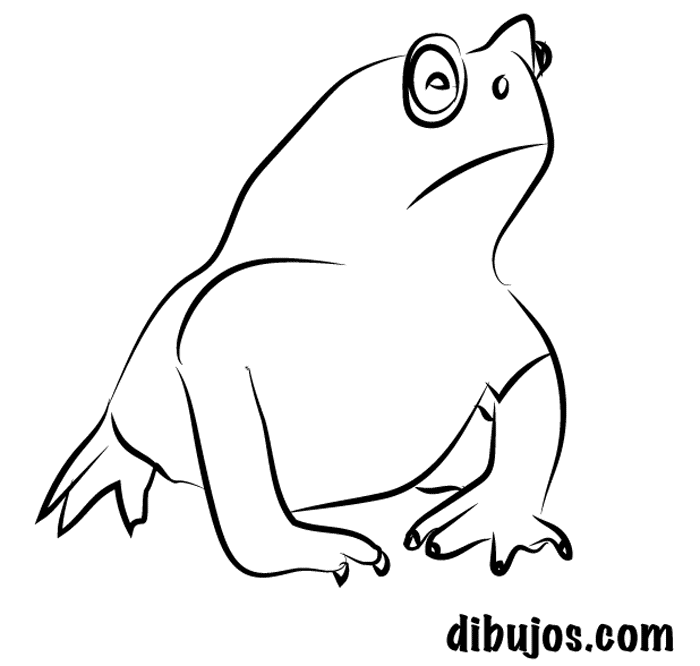 dibujos.com - Sapo