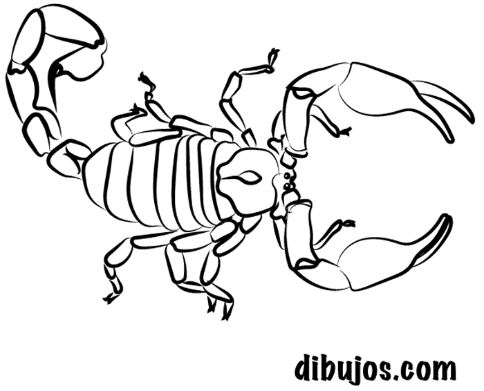 dibujos.com - Alacran