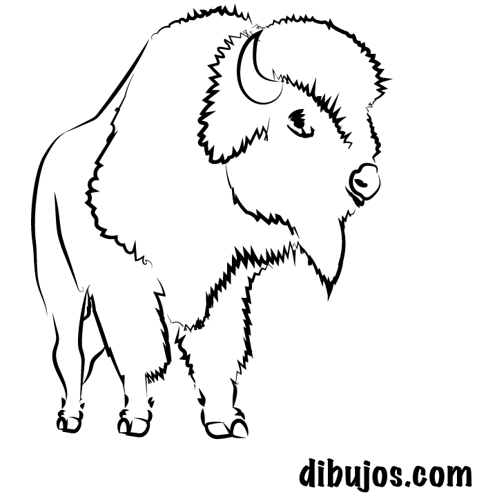 dibujos.com - Bisonte