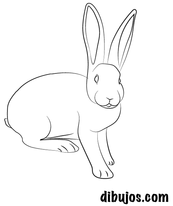 dibujos.com - Liebre